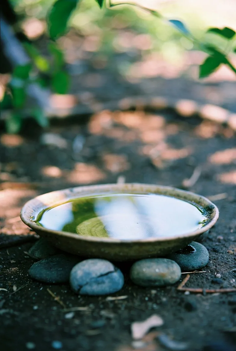 A shallow ceramic water dish raised on smooth stones in a shaded garden