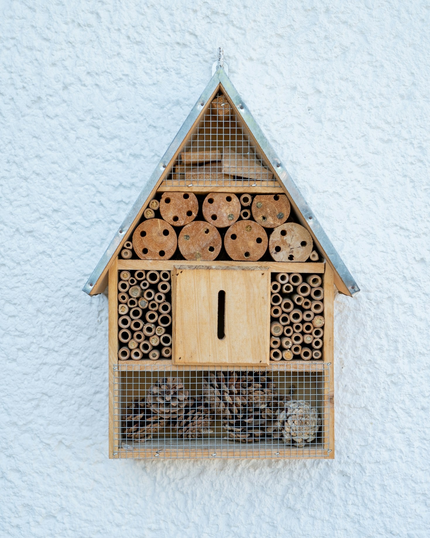 How to Attract Bees to Your Small Space