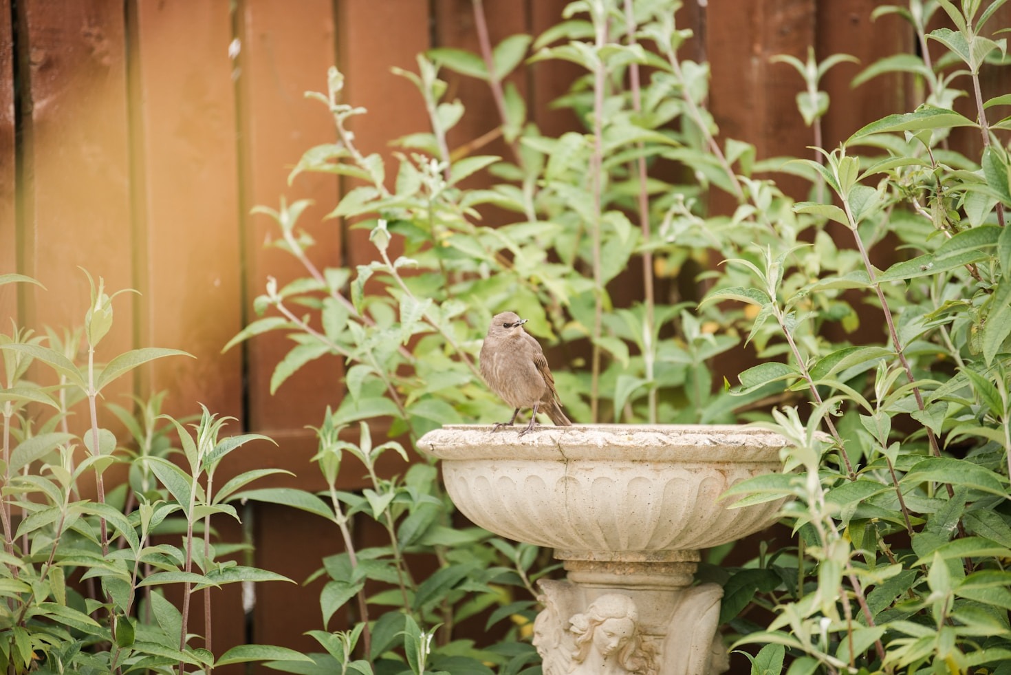 Nature-Loving Gifts for Every Gardener